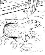 Groundhog Day Groundhog Day Activities Groundhog Day Happy Groundhog Day