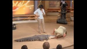 Crikey Steve Irwin Will Receive A Star On The Walk Of Fame Aussie Gossip He is famous for the television program the crocodile hunter. crikey steve irwin will receive a star