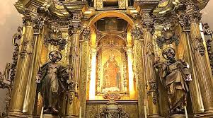 Image result for Eulalia polyneura