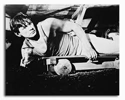 While filming the great escape in 1962, bronson had the chance to work alongside scottish actor david mccallum. Ss185692 Filmbild Von Charles Bronson Promi Fotos Und Poster Bei Starstills Com Kaufen