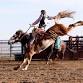 Mataura Rodeo event image