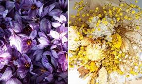 Silica gel desiccant is designed to remove excess moisture from enclosed spaces. Six Things To Avoid When Making Dried Flowers Express Co Uk
