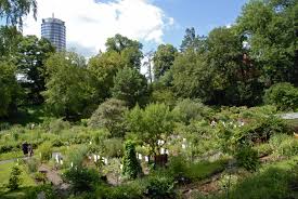 Ab sofort sind auch die gewächshäuser wieder für besucher freigegeben! Botanischer Garten Jena Wikipedia