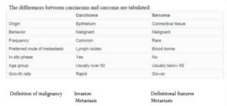 Testicular cancer can also cause other symptoms, including: Heme Onc Week 3 Flashcards Quizlet