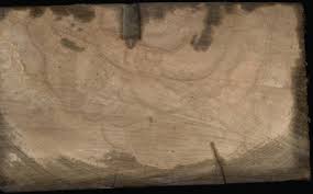 How is thermally modified wood physically different? Protection Of The Bio Based Material Sciencedirect