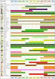 Food Infographic Fruits Et Legumes Par Saison Vegetable Seasoning Food Infographic Nutrition