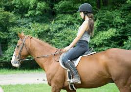 Check spelling or type a new query. Horse Riding Instructor Jobs Abroad In America