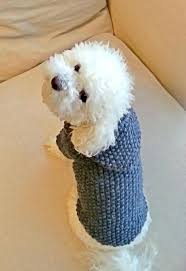 Pin By Elena Cristina Nitu On Hayvan Giysileri In 2020 Small Dog Sweaters Dog Winter Clothes Dog Sweaters