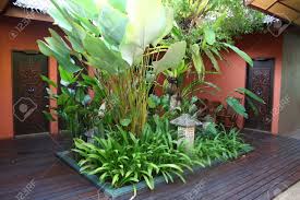 Balinese Courtyard Designs Google Search Balinese Garden Tropical Garden Design Courtyard Gardens Design