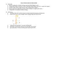 We did not find results for: Soal Uraian Essay Sistem Gerak Manusia Hewan Tumbuhan Masnurul