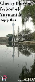 Pin On Best Of Wherever I Want