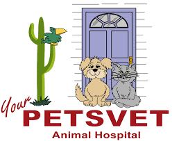 Akc sm visa ® card. Home Veterinarian In Suprise Az Petsvet Animal Hospital Petsvet Animal Hospital Veterinarian In Suprise Az Us