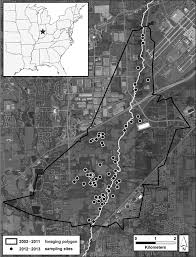 Basic concepts choosing a bat detector: Data Acquisition Varies By Bat Phonic Group For 2 Types Of Bat Detectors When Weatherproofed And Paired In Field Settings Kaiser 2015 Wildlife Society Bulletin Wiley Online Library