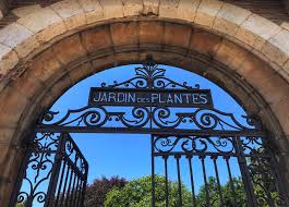 Différentes musées ainsi qu'une ménagerie se trouvent dans le jardin des partir à la découverte des plantes en plein paris, c'est possible avec le jardin des plantes. Jardin Des Plantes Toulouse Parc Et Jardin