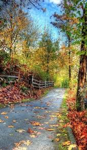 free image on pixabay trail nature landscape autumn autumn scenery beautiful landscapes fall pictures autumn scenery beautiful landscapes