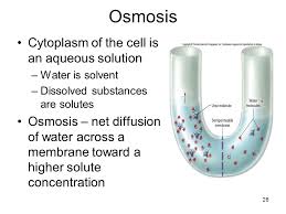 / that's the driving force of hydrogen — filling the valence energy level and achieving the same electron arrangement as the nearest noble gas. Membranes Chapter 5 Adapted By G Cornwall Ph D Ppt Video Online Download