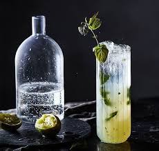 Mojito Recipe Recipe Mojito Recipe Mojito Vitamix Recipes