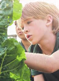 Singing from the same song book