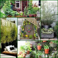 Terrassenbepflanzung Tipps So Gestalten Sie Eine Grune Wohlfuhloase Im Freien Bepflanzung Terrassengestaltung Ideen Und Terrassengestaltung