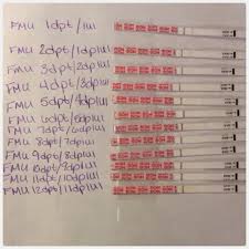 When Can You Take A Pregnancy Test After Ovidrel Pregnancy Test Kit