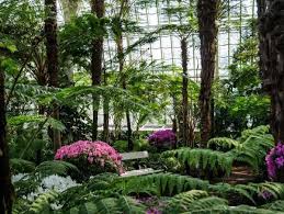Der Botanische Garten Schonbrunn Pflanzenpalaste Der Kaiser