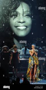 Bet awards whitney hi-res stock photography and images