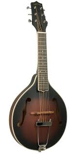 Handsome big moustache hipster man. F 6 F Style Mando Guitar With Pickup Gold Tone Folk Instruments