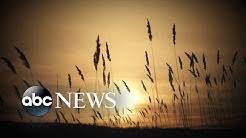 The abc news app makes it easier for you to stay up to date with the latest news and information from australia's most trusted news source. Ldxd37gxre8qum