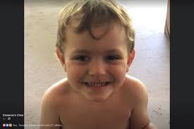 Fundraiser for Laura Tate by Nancy Archibald : Support for Cameron