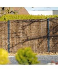 Brande De Bruyere Epaisse Brise Vue Occultant Naturel