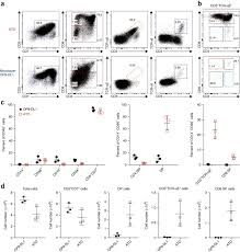 Le calendrier des jours fériés 2017 montre qu'il sera plus facile de faire le pont que l'année passée. Generation Of Mature T Cells From Human Hematopoietic Stem And Progenitor Cells In Artificial Thymic Organoids Nature Methods