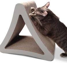 She's one of our two cats, and that lovely piece of furniture is my new couch, and their new favorite scratching post. Why Does My Cat Scratch The Wall 10 Reasons Tips To Stop This Behavior