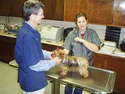 West side pet clinic grooming. Kayce Joins Westside Statesboro Herald