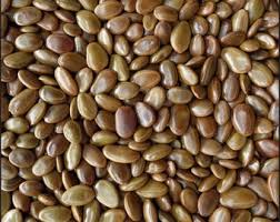 Image result for Cucumis aculeatus