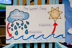 Water Cycle Chart For Class 3 Www Bedowntowndaytona Com