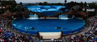 November 2018 bis zum 24. Sea World Parks Fahrzeuge Einiger Kommenden Neuheiten Gezeigt
