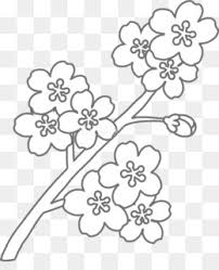 Gambar sketsa bunga hitam putih: Sketsa Bunga Gambar Bunga Sakura Kartun Hitam Putih