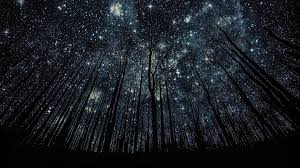 Maybe you would like to learn more about one of these? Best Backgrounds Pictures Ever Wallpaper 1920a 1080