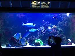 10 Meilleurs Hotels Proches Aquarium Tropical De La Porte Doree Paris Sur Tripadvisor