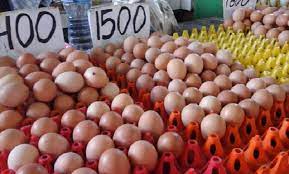Telur ayam belakangan ini mengalami kenaikan harga yang terbilang sangat tinggi. Harga Telur Ayam Cianjur Turun
