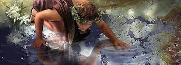 Image result for narcisme