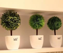 No solo aportan belleza y naturalidad al. Ventajas De Decorar La Casa Con Plantas Artificiales Decoracion Con Plantas Artificiales Plantas Artificiales Decoracion Plantas