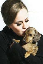 Great photography 😍