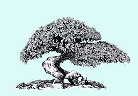 When learning a new language, this topic always comes up. Chinese Drawing Tree Stock Illustrations 10 592 Chinese Drawing Tree Stock Illustrations Vectors Clipart Dreamstime