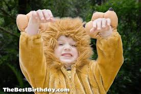 A group of animals who have spent all their life in a new york zoo end up in the jungles of madagascar, and must adjust to living in the wild. Madagascar Party The Best Birthday
