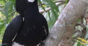 Pasir ialah bahan berbutir terbentuk secara semula jadi yang terdiri daripada batu dan zarah galian kecil yang halus. Up To 10 Off Bike Nature Tour Along Coney Island Paris Ris Park And Lorong Halus Klook Singapore