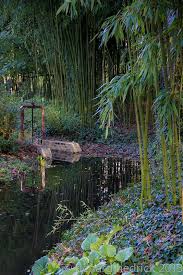 Claude Monet Giverny Garden Monet Garden Giverny Monet Art Claude Monet