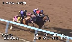 芸能人 競馬予想 ウイニング競馬予想 東スポ 虎石予想 スポニチ 万哲予想 競馬展望プラス 予想 海外競馬 交流g1 予想成績 未分類. Oqynz3ey0rq8xm