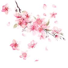 Source high quality products in hundreds of categories wholesale direct from china. Noizzy Oriental Cherry Blossom Vinyl Love Car Auto Floral Charm Sticker Pink Decal Highlight Window Automobile Romance Decor Car Stickers Aliexpress