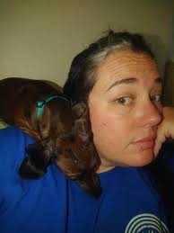 How many droopy half asleep yet still sitting up zombie dogs are out there  right now?